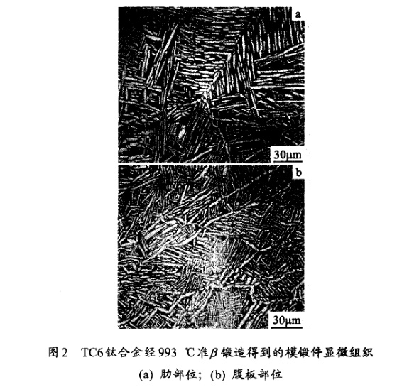 TC6鈦合金經(jīng)993℃準(zhǔn)β鍛造得到的模鍛件顯微組織(a) 肋部位；(b) 腹板部位