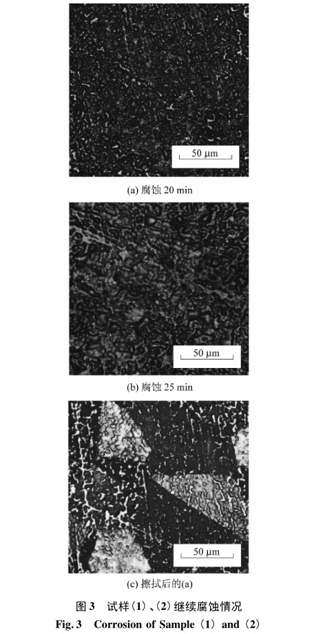 試樣(1)、(2)繼續(xù)腐蝕情況