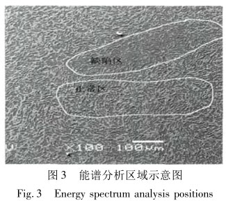 能譜分析區(qū)域示意圖