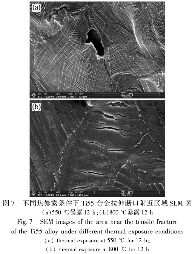 未標題-7.jpg